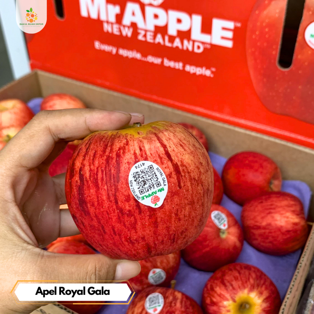 

Apel Royal Gala [ @500gram ]
