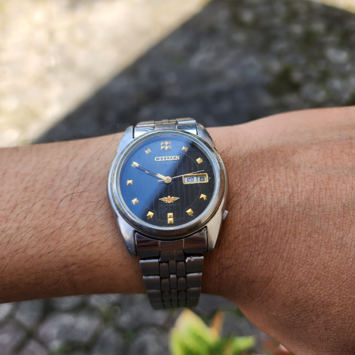 Citizen Eagle 7 WR Series Vintage Original Second