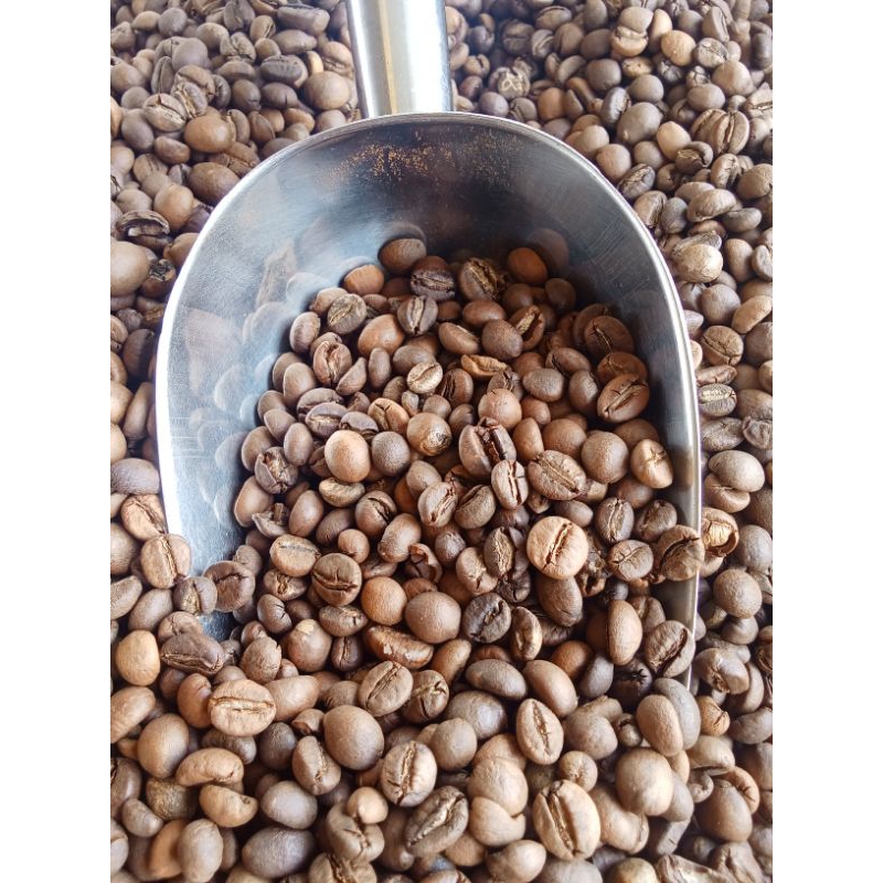 

KOPI ROBUSTA GAYO ACEH