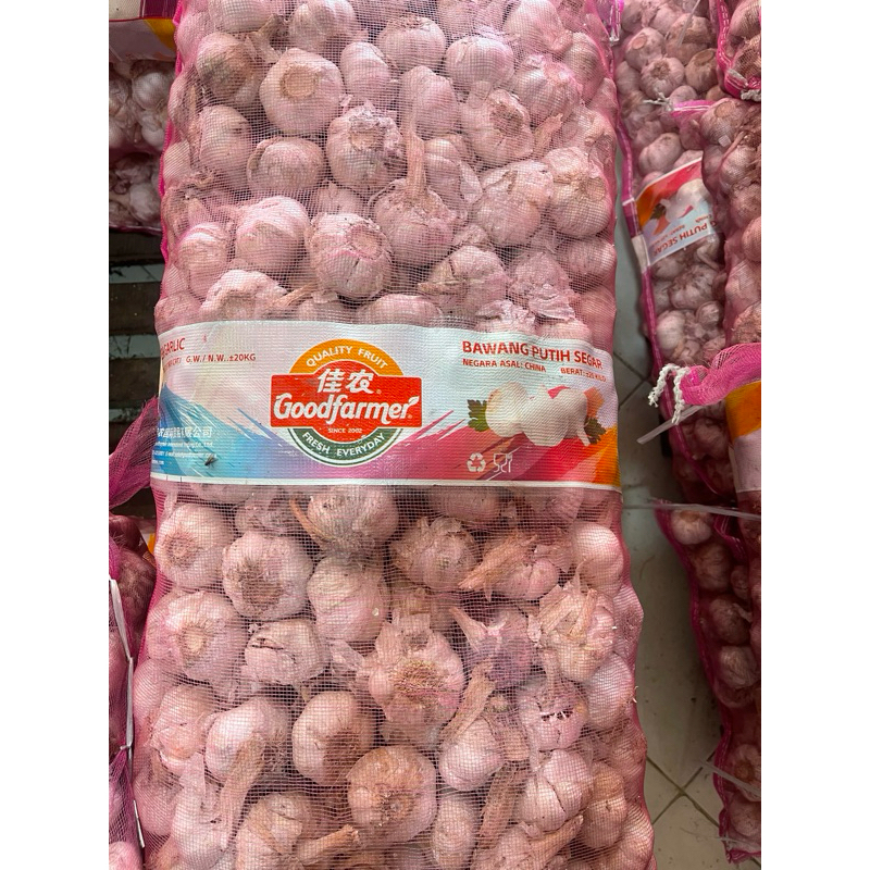 

BawangPutih