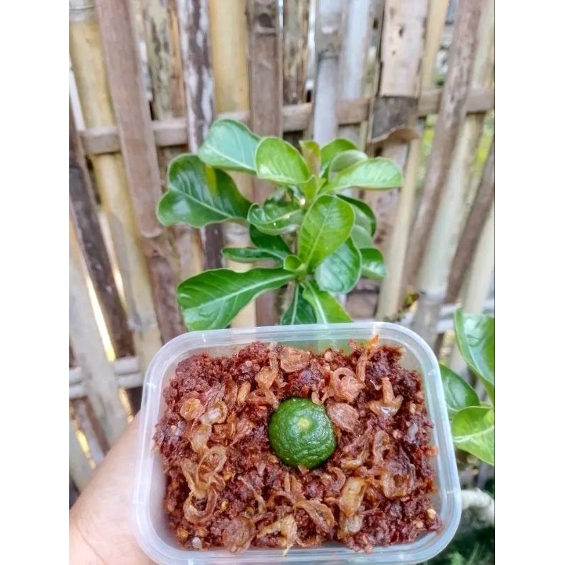 

Sambel Trasi Hj Dian