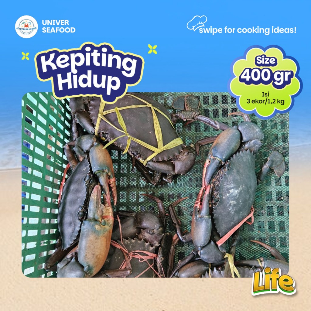 

Kepiting Jantan 400gr / 1kg