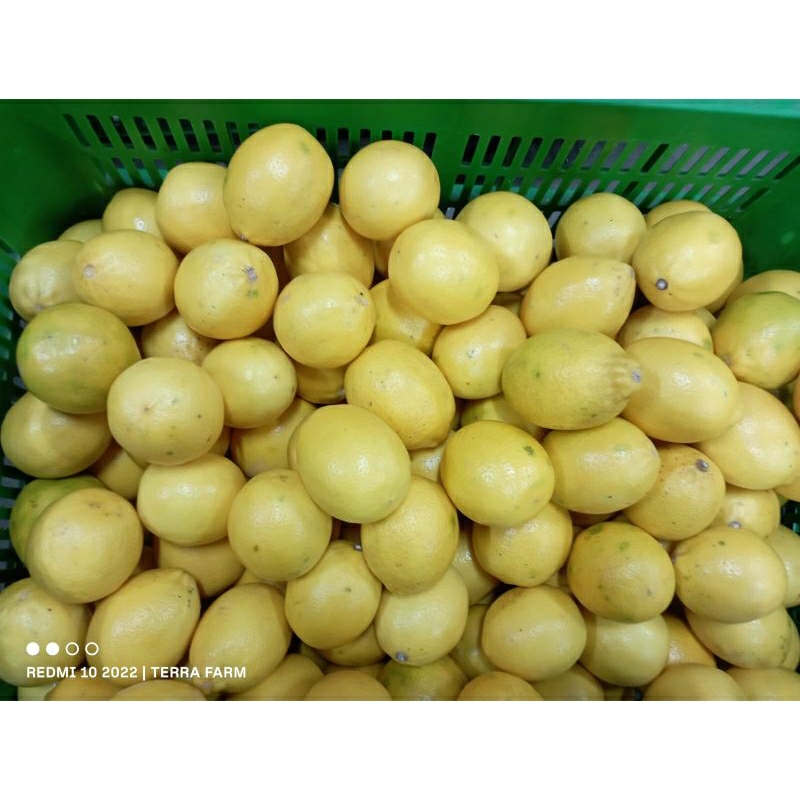

Lemon California 1 kg
