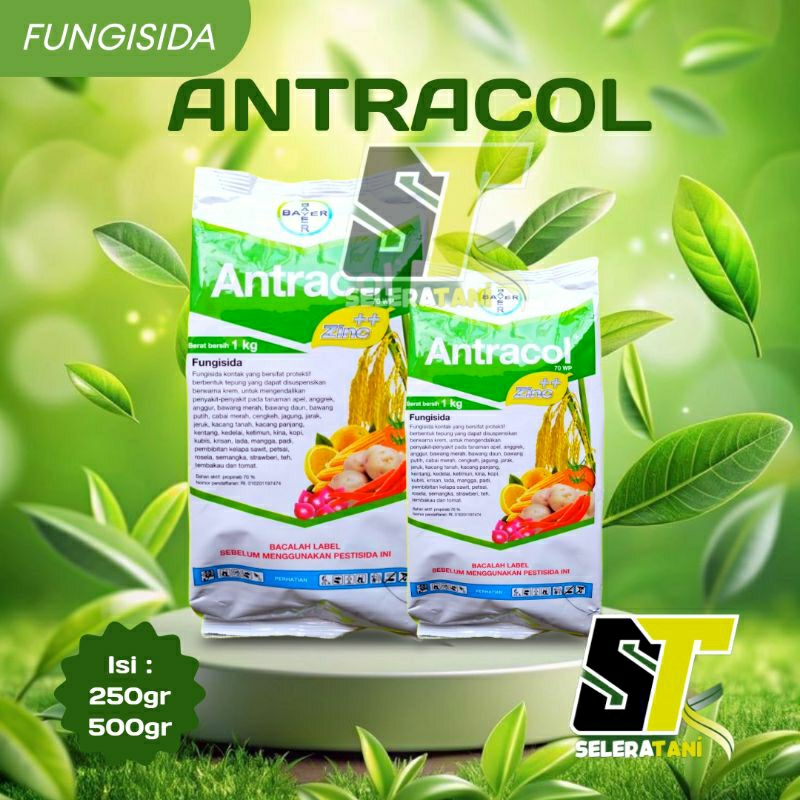 Seleratani - ANTRACOL | FUNGISIDA | OBAT JAMUR TANAMAN