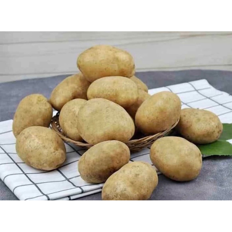 

KENTANG DIENG SIUPER 1 Kg