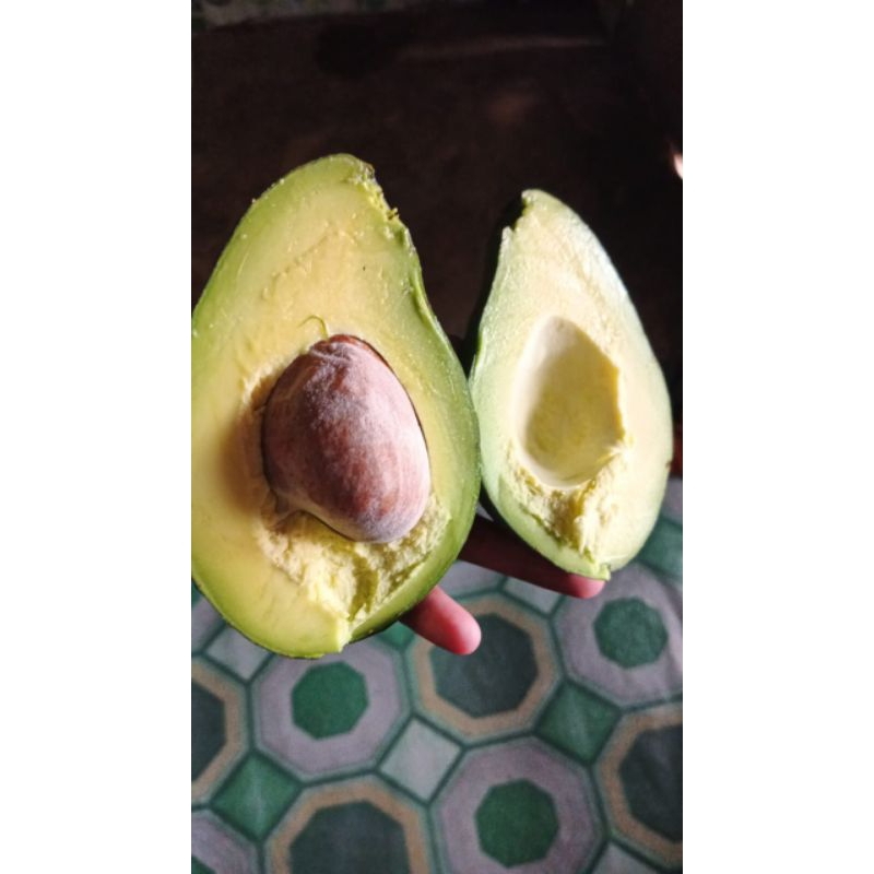 

Alpukat_Mentega