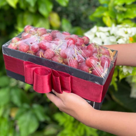 

Hampers Buah Fresh Premium