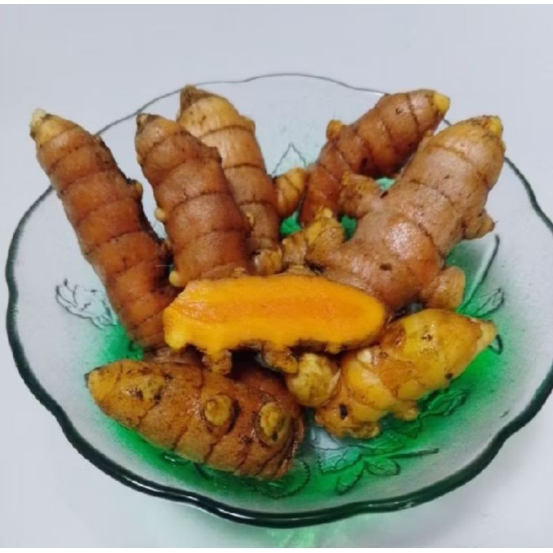 

kunyit segar koneng temen tanaman herbal a