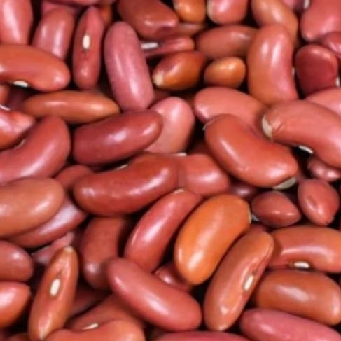 

KACANG MERAH.