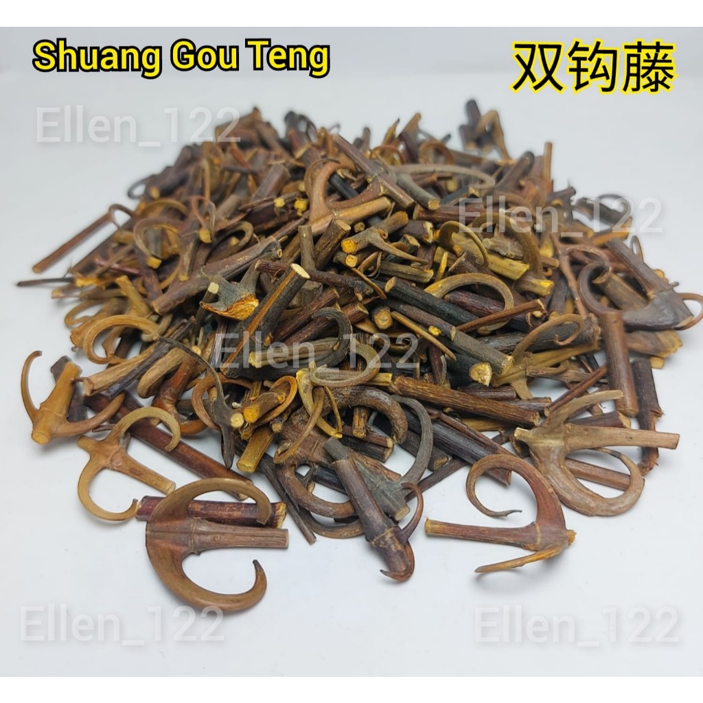 

Shuang Gou Teng 双钩藤 Cakar Elang / Akar Kelaet / Uncaria Laevigata Premium Grade