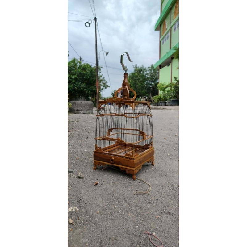 Sangkar Cungkok Jati