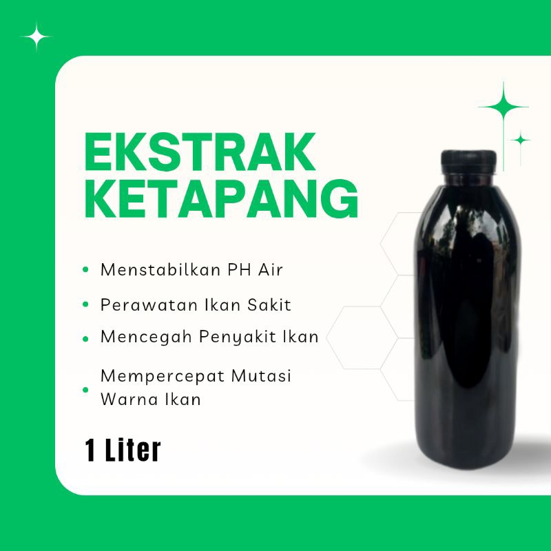 ekstrak ketapang 1 liter super pekat bagus untuk ikan chana, guppy, dan cupang
