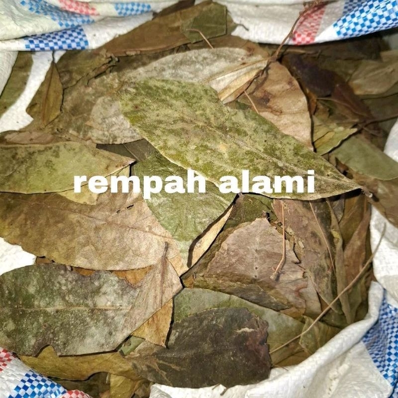 

daun sirsak kering 100/200gr