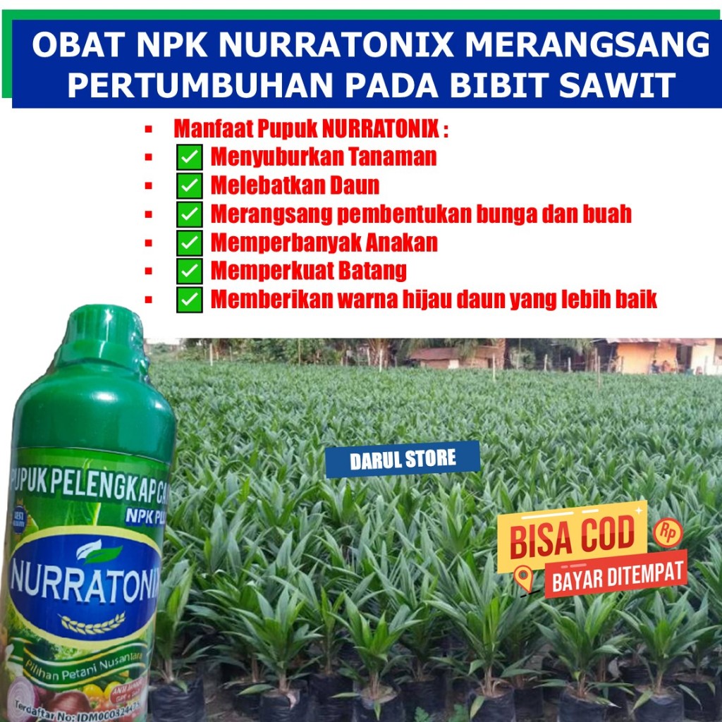 PUPUK NPK CAIR SAWIT MENYUBURKAN PERTUMBUHAN BUAH DAUN BUNGA DAN BATANG PADA TANAMAN BUAH SAWIT NPK 