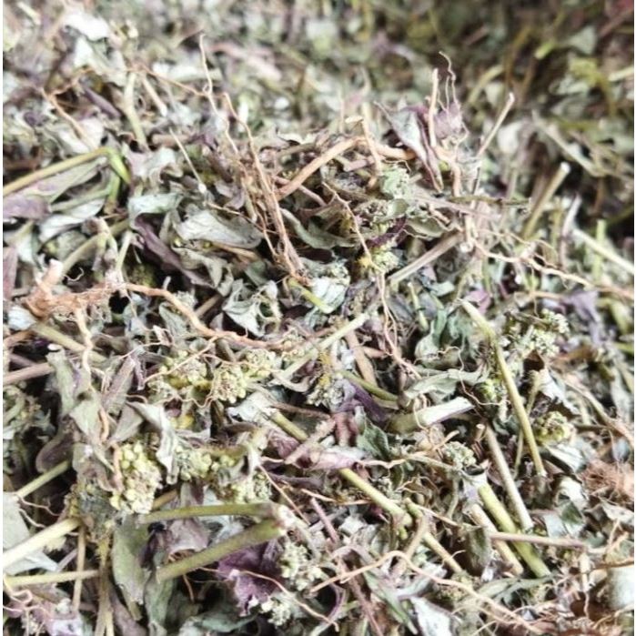 

Patikan Kebo Kering 500gr - Petikan Kebo Kering