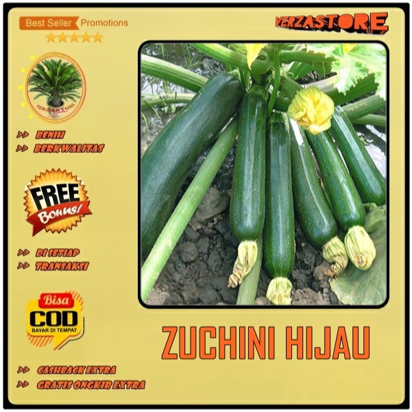 Biji Benih Zucchini Hijau Bibit Tanaman Zukini - Sukini Zukini Zucini IMPORT 2 Biji