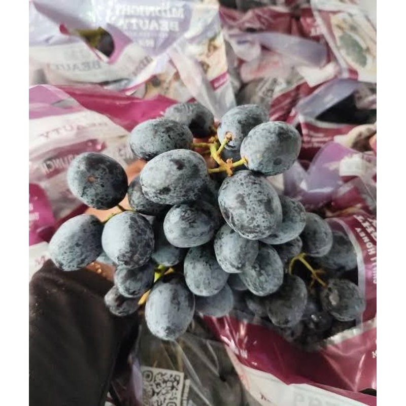 

anggur midnight beauty Australia fresh