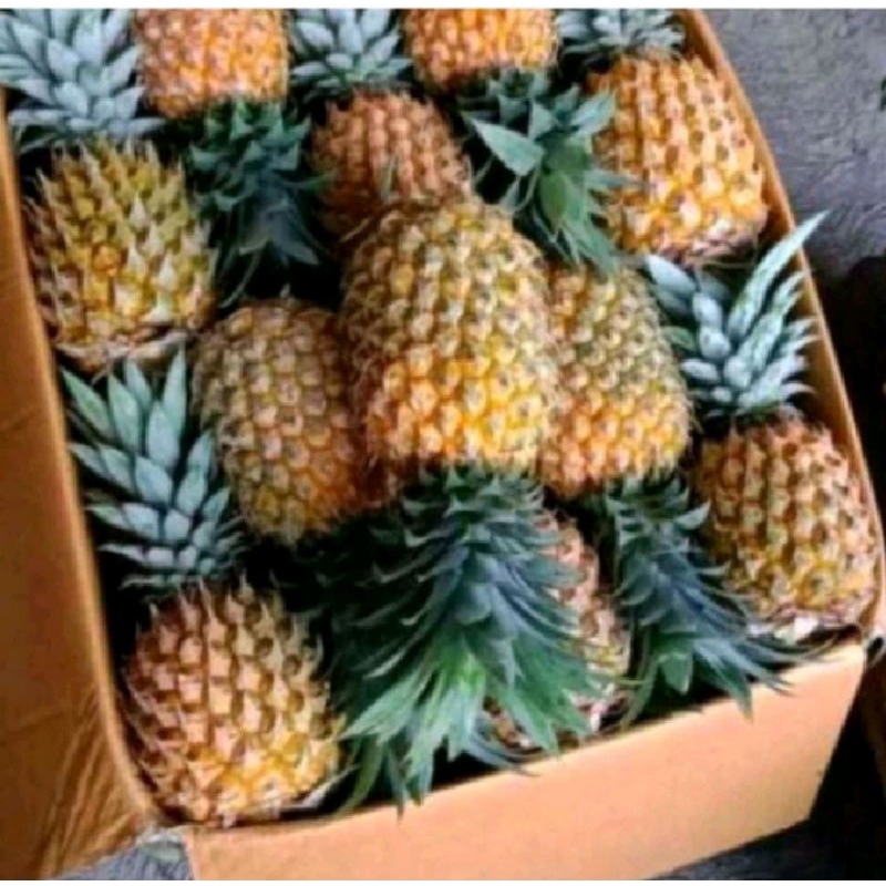 

Nanas Madu 1-Biji