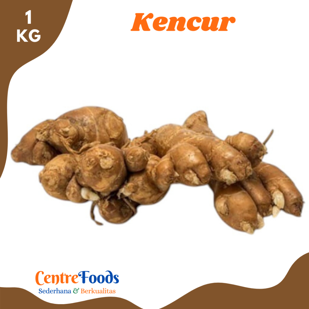 

KENCUR Segar - Cikur Kawicer Galangal Fresh | 1.000gr [ Harga Per KG ]