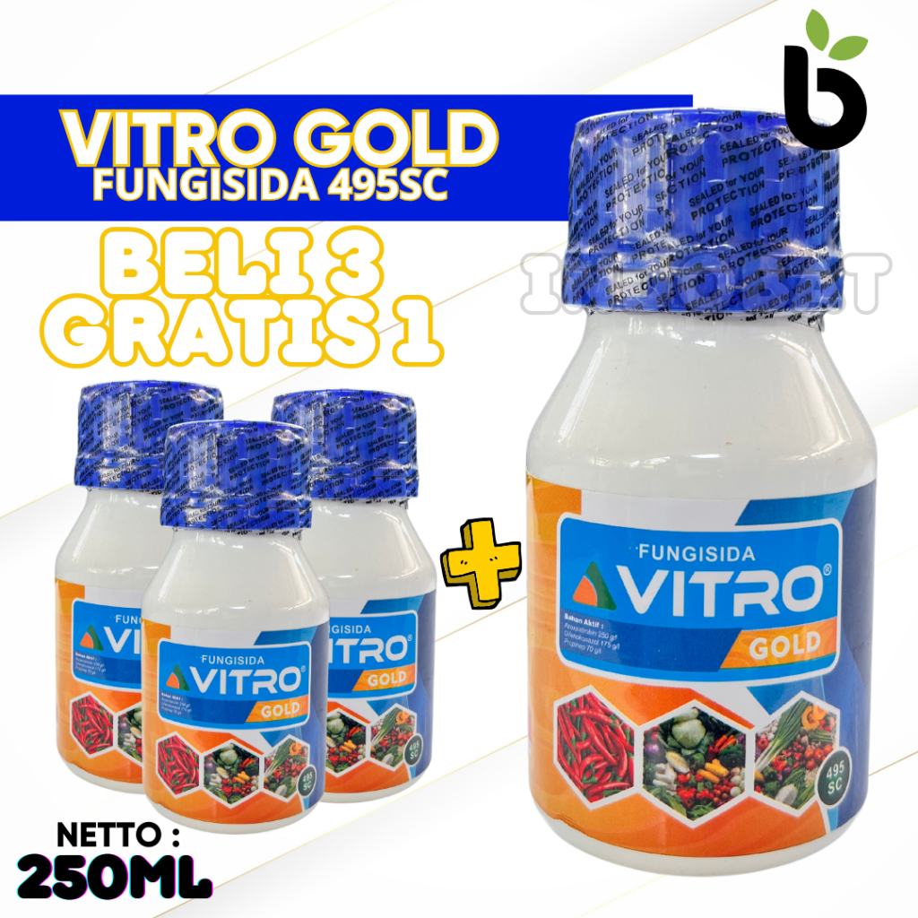 Fungisida VITRO GOLD 495SC Pilihan Mengatasi Penyakit Jamur Antraknosa