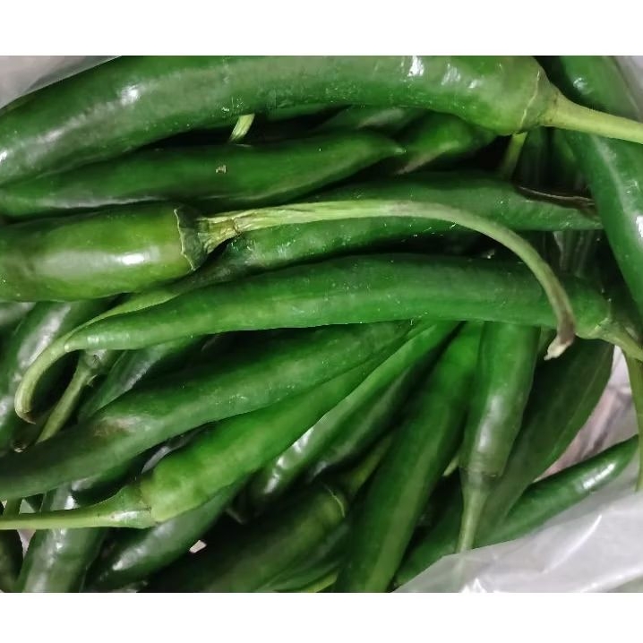 

INSTAN - CABE / CABAI HIJAU BESAR 250 - 500 GRAM