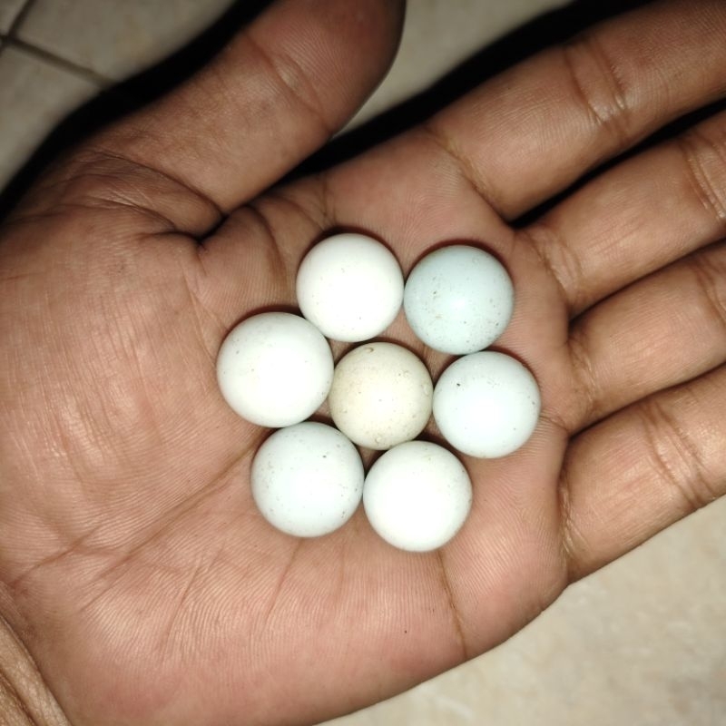 barang jadul sepaket kelereng putih unik antik langka
