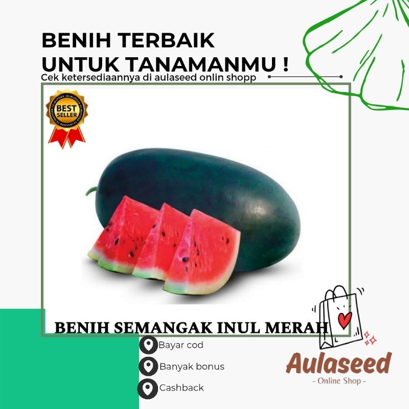 benih semangka inul merah paket combo 500 butir benih semangka inul merah