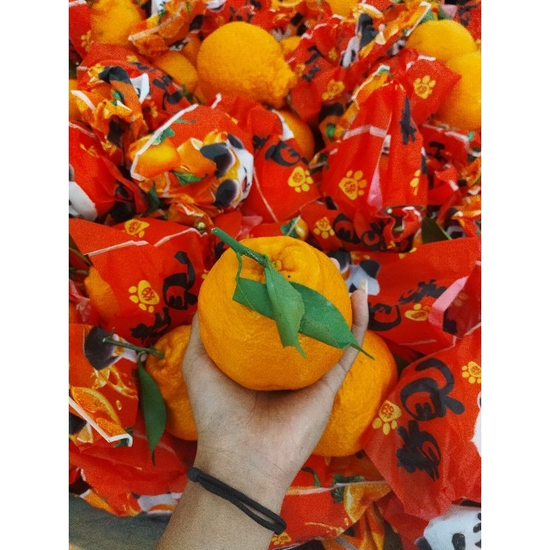 

Jeruk papagan dekopon cap panda 6,5kg/keranjang