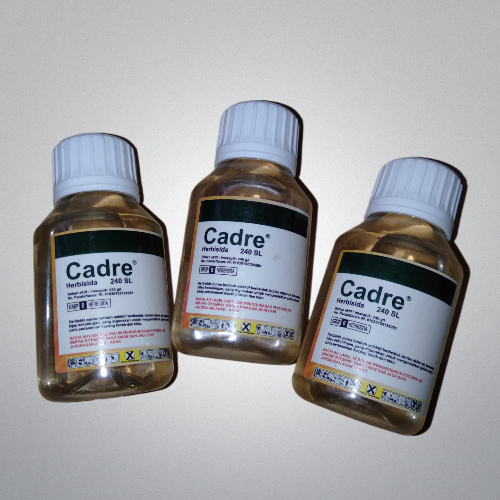 CADRE 240SL - Herbisida selektif mengendalikan gulma pada tanaman kacang, kedelai, cabe
