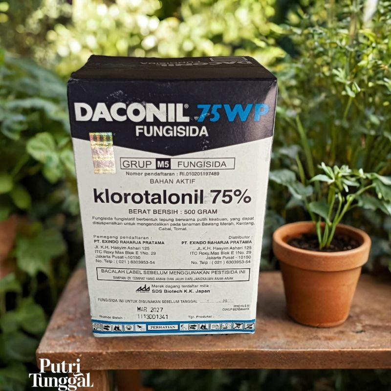 Daconil 75WP fungisida klorotalonil 75%