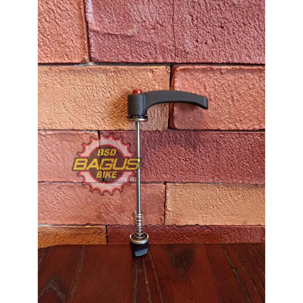 DT Swiss RWS MTB (titan) Front