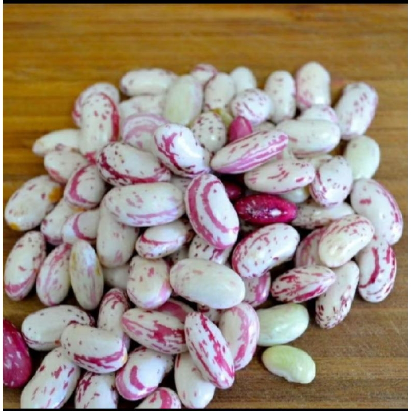 

Kacang Ndul khusus bandung 10000