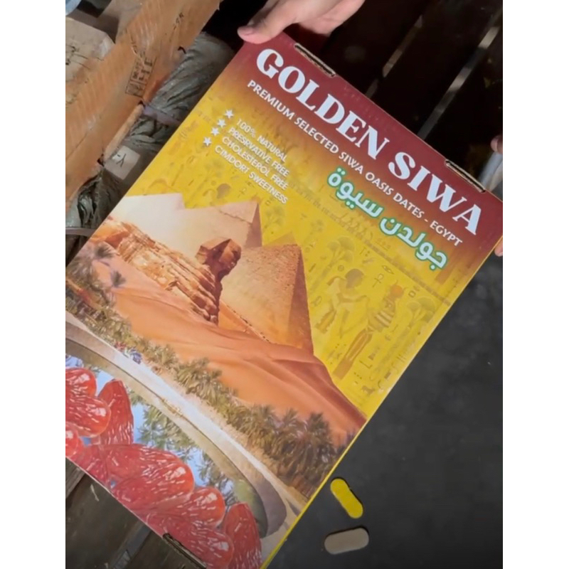 

Kurma Mesir Golden Siwa