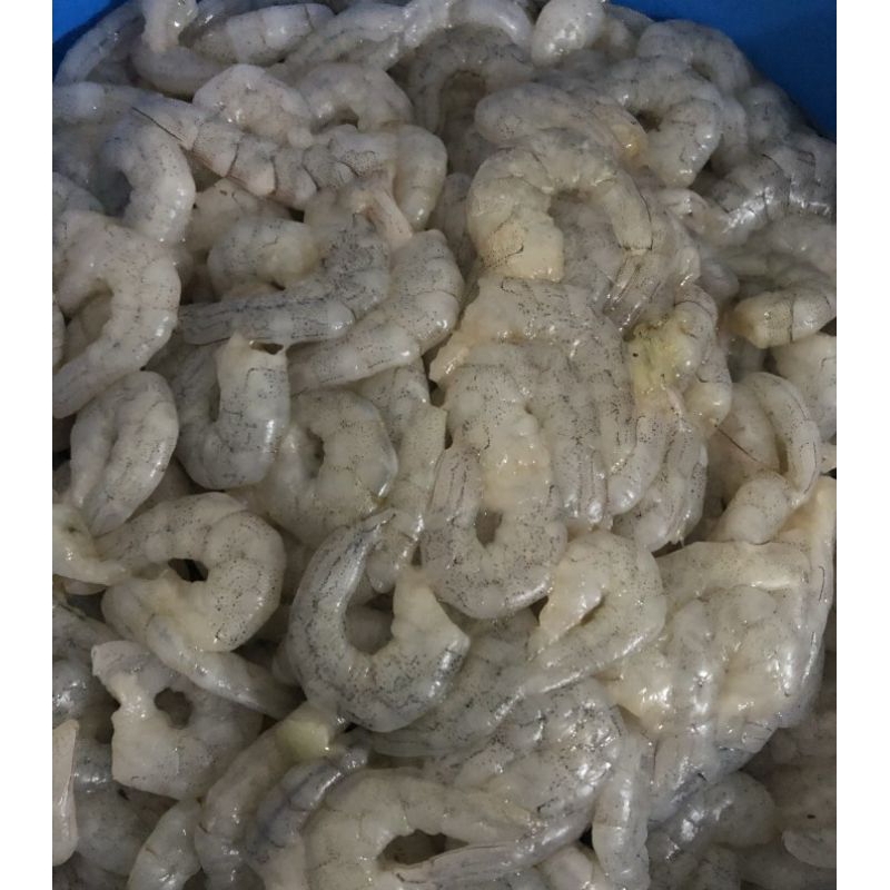 

DAGING UDANG PECI SEGAR