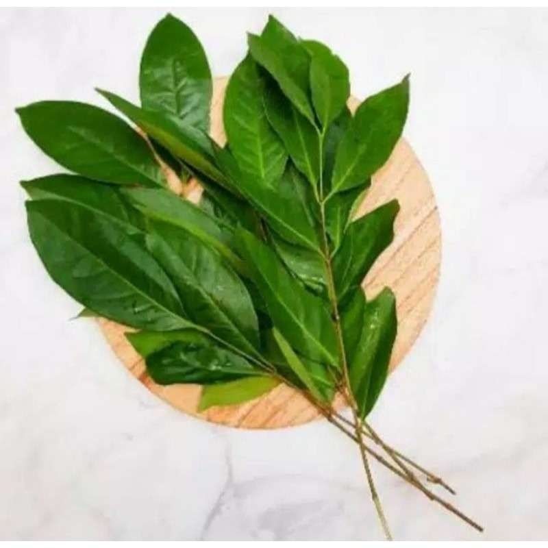

200 gram daun salam segar fresh petik, daun tanaman salam.Syzygium polyanthum.