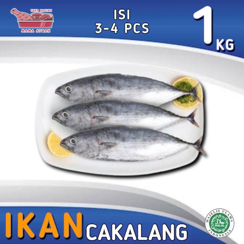 

IKAN CAKALANG 1 KG FRESH/FROZEN ISI 3-4