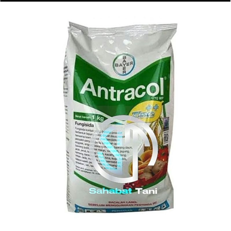Fungisida Antracol 1kg