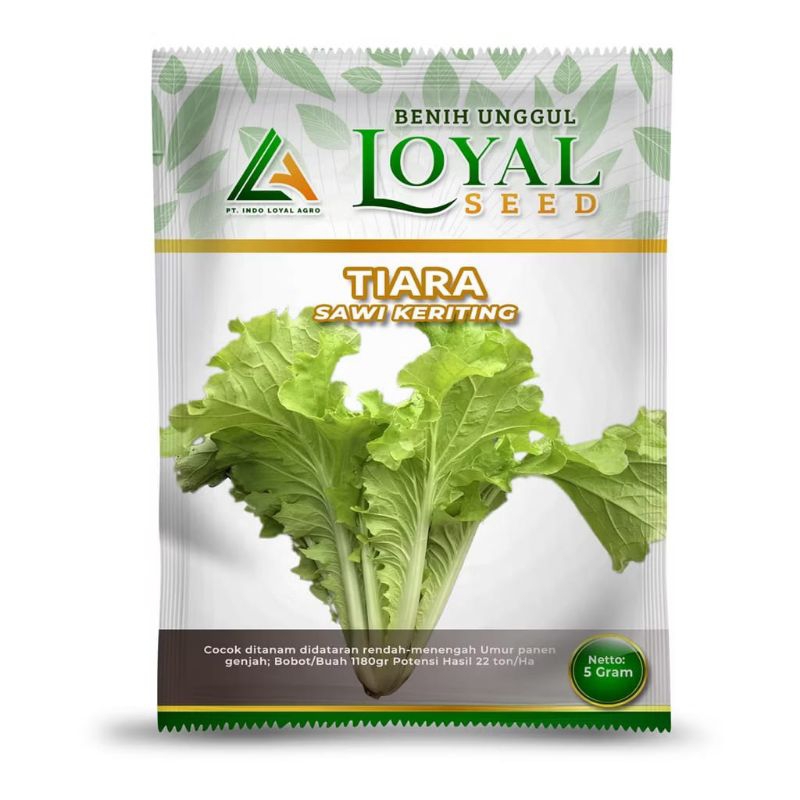 BENIH SAWI KERITING TIARA / BIBIT SAWI KERITING TIARA 5 GRAM / BENIH UNGGUL LOYAL SEED
