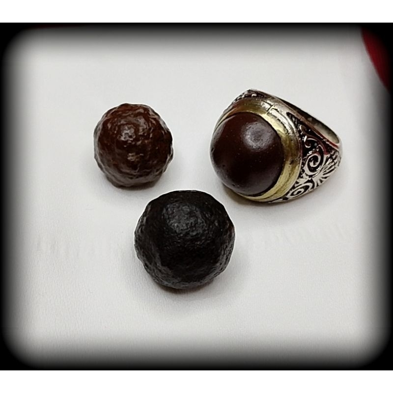 Mustika Monta Bassi / Munta Besi HQ ORI Aktif Berpasangan