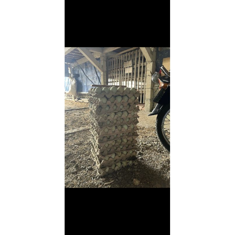 

Telur Bebek Omega isi 10