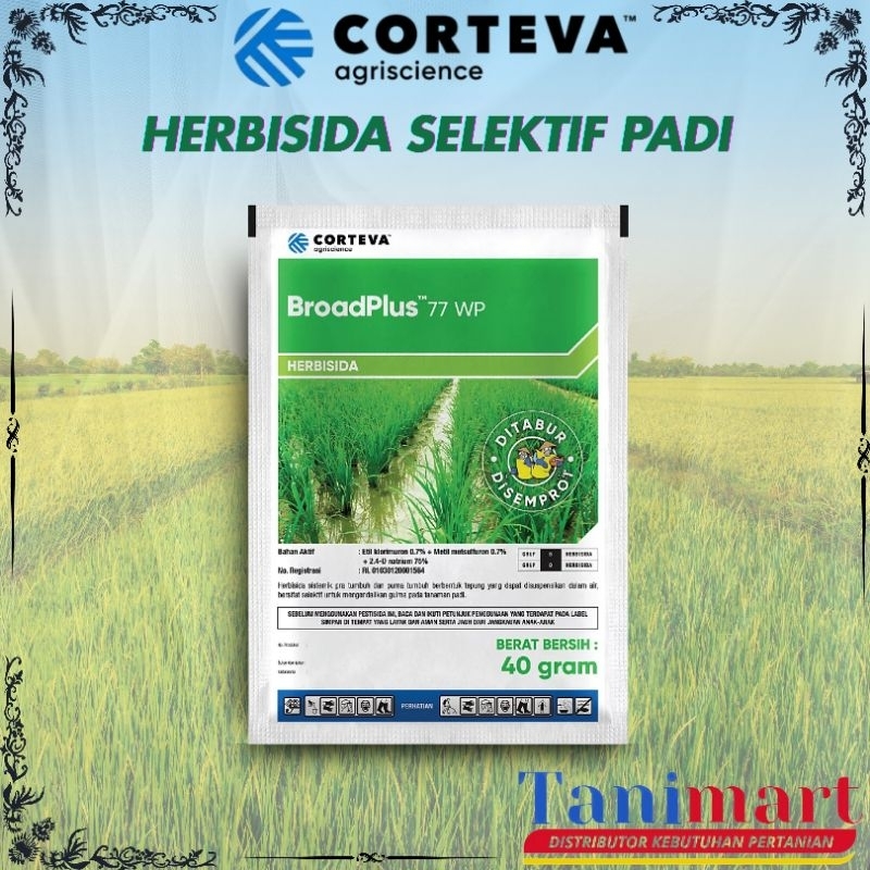 BROADPLUS 77 WP / HERBISIDA SELEKTIF PADI / HERBISIDA PADI / RACUN RUMPUT / OBAT RUMPUT PADI