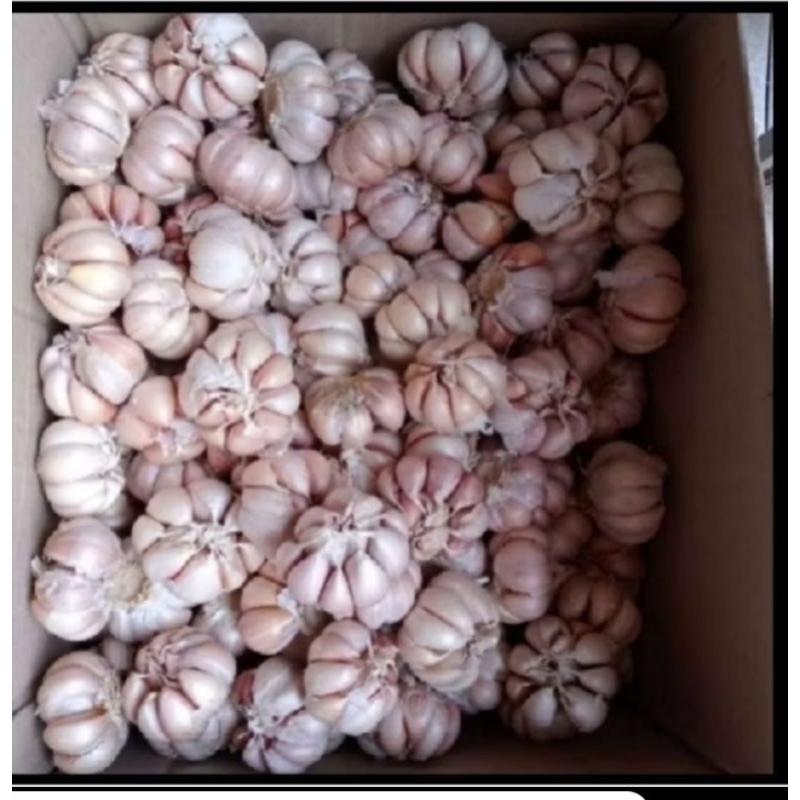 

MURAH ( Bawang putih Kating 1000gr , 500gr , 250gr ready siap kirim )