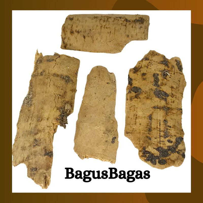 

100gr Kulit Kayu Babakan Pule Kering Herbal Rempah Tradisional Rempah Obat Demam Malaria Nyeri JSR