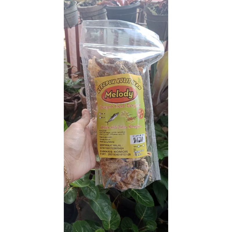 

Kerupuk kulit ikan