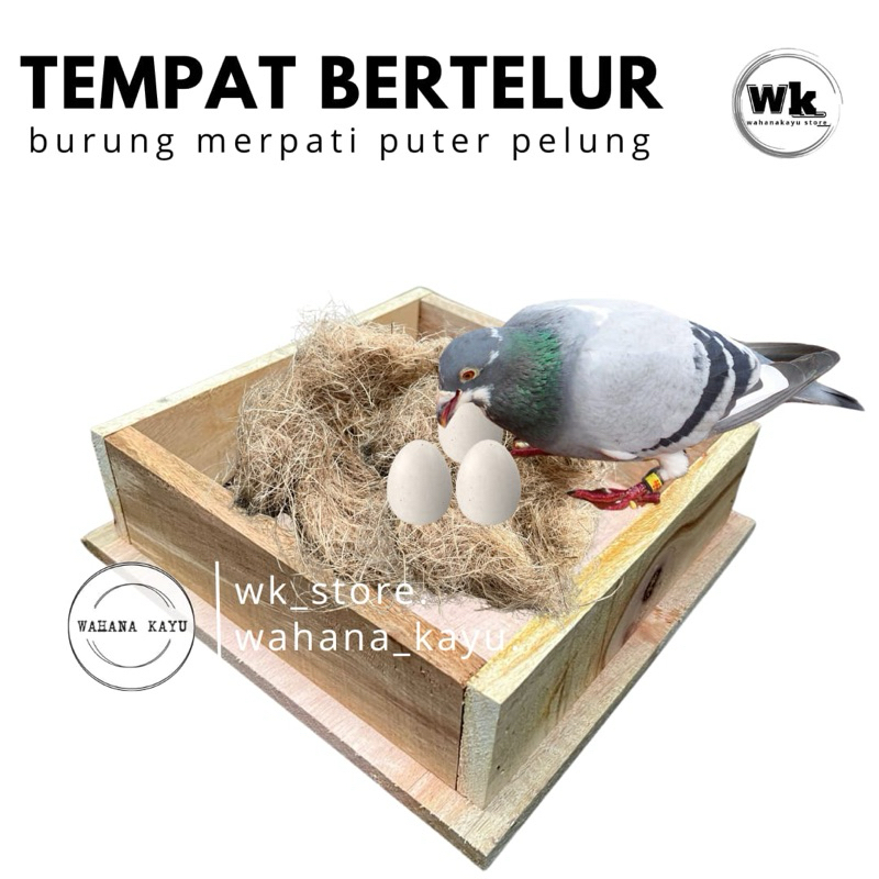 tempat mengerami burung merpati kotak bertelur burung  | kotak pakan burung ( kotak angreman )