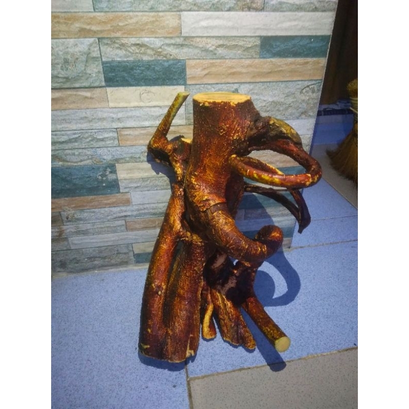 akar oyot mimang alami