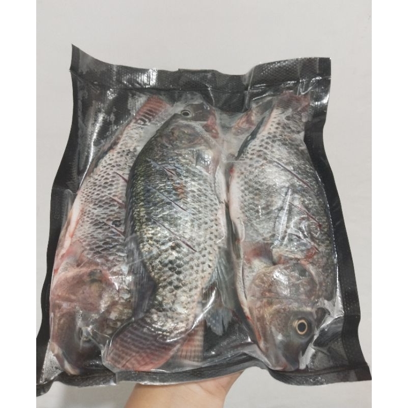 

IKAN MUJAIR || NILA HITAM 500gr - 1kg