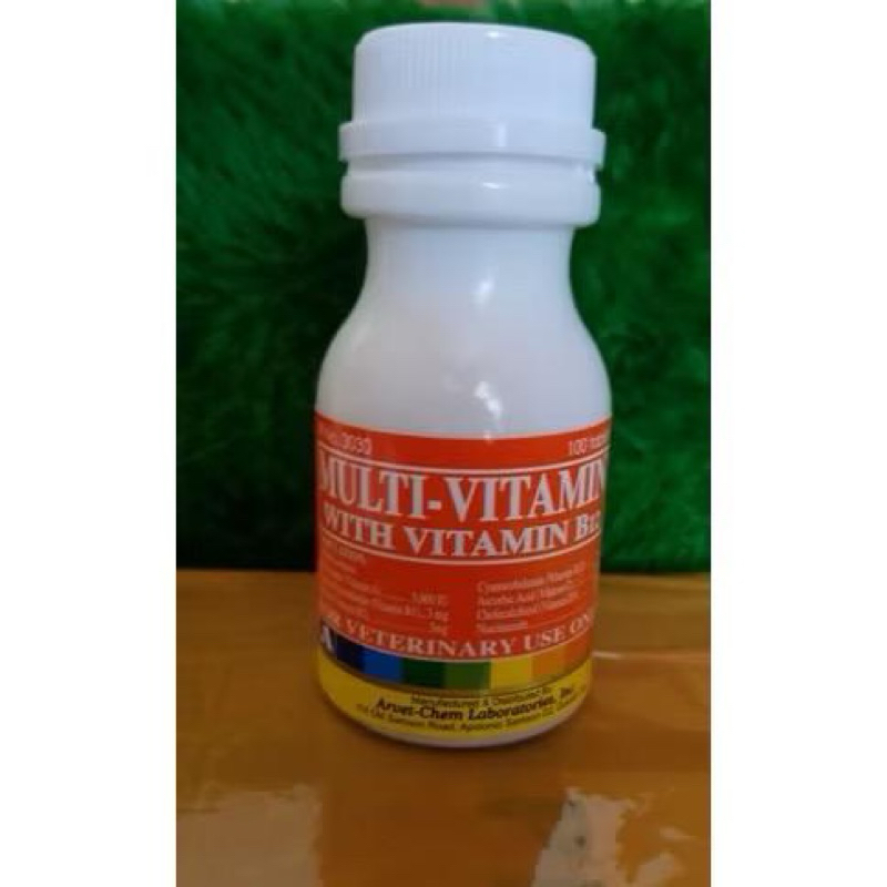 B12 Multivitamin Ayam