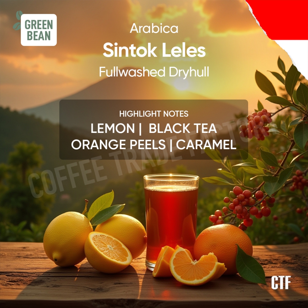

Green Beans Arabika Sintok Leles Full Washed / Coffee Trade Factory CTF / Green Bean Arabica Sintok Leles Biji kopi mentah Sensasi rasa lemon black tea orange peels & Manis Karamel caramel Full Washed premium berkualitas greenbean specialty coffee
