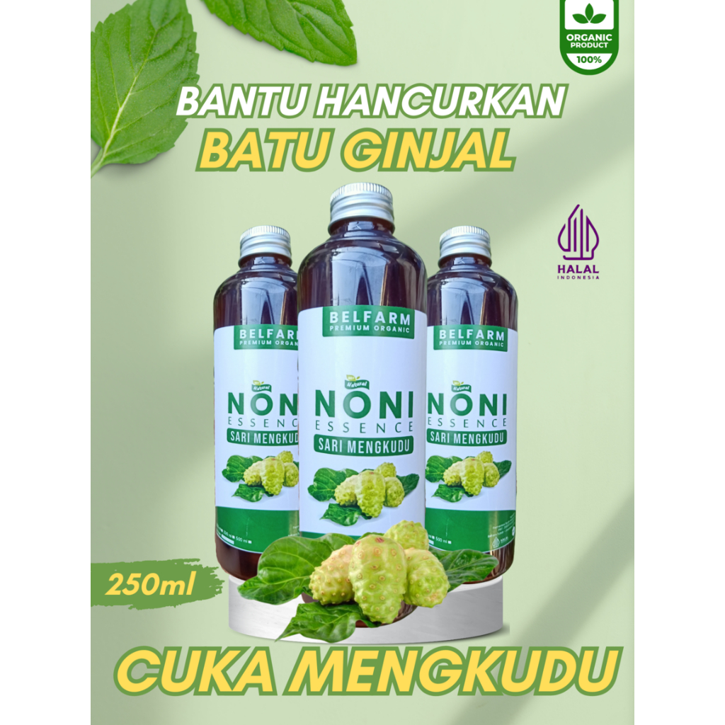 

Cuka mengkudu 250ml dari Belfarm original fermentasi alami kaya anti oksidan hancurkan batu ginjal